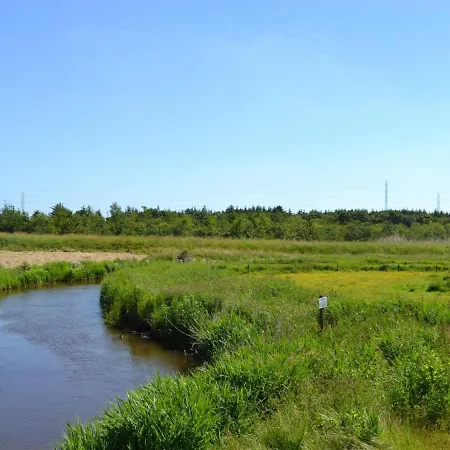 Daire Gunhild - 22km From The Sea In Western Jutland By Interhome *